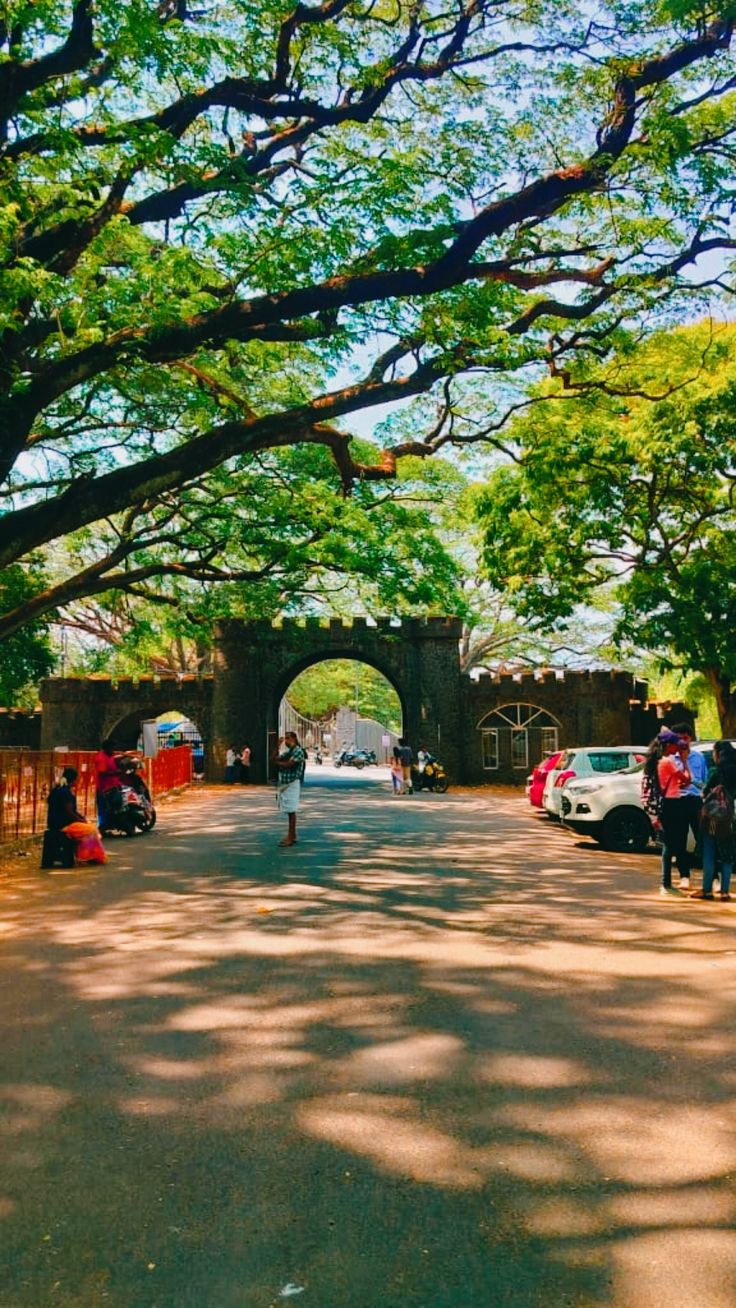 How to Choose the Best Travel Agency in Malappuram for Your Next Trip