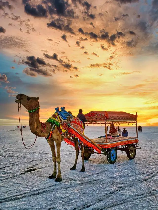 International Holiday Packages from Kerala: Plan Your Dream Overseas Trip